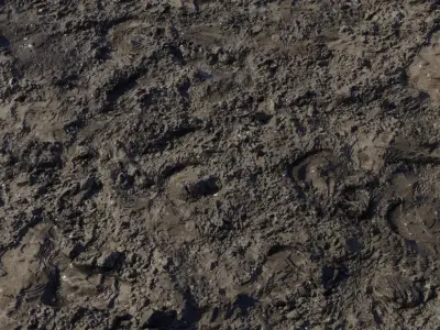 Saturated Mud With Footprints PBR Texture Texture