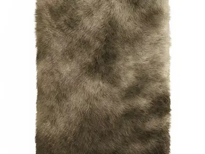 Fluffy rectangular carpet 3D model