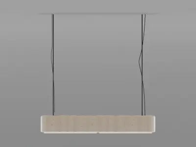 Pendant Light Design Luminous Elegance Free 3D model