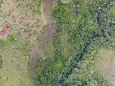 Cotton Farm 15 05 2021 Low-poly 3D model