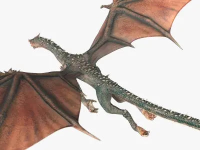  Fantasy Dragon Flying Animated Rigged For Maya 