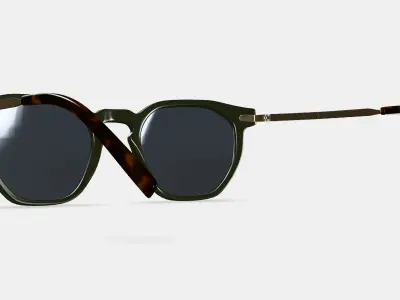 Rustin Sunglasses in Olive with Riesling 3D model