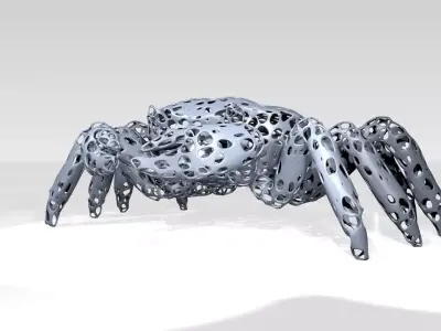 Crab Voronoi 3D model