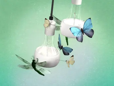 Johnny B Butterfly 3D model