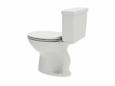 Single Flush Round Chair Height Toilet 3D model