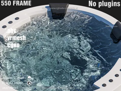 Jacuzzi hot tub spa - ANIMATED  -  550 FRAME Water Simulation 3D model