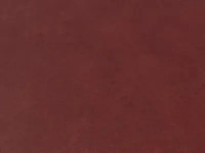  Burnished Leather Smooth 4K Texture