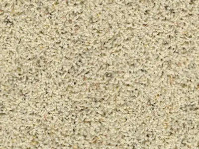 Seamless Cream Carpet Texture  Texture