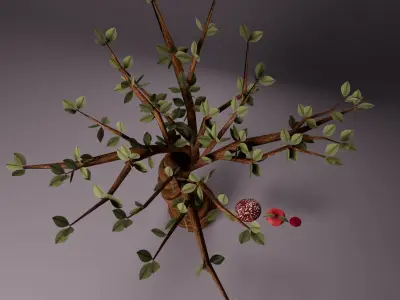 Stylized Spiral Tree Low-poly 3D model