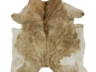 European Rug Cowhide 13 3D model