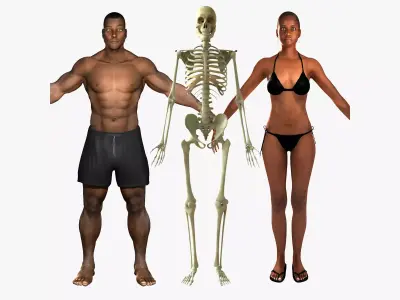 African American Female And Male With Skeleton Rigged 3D model
