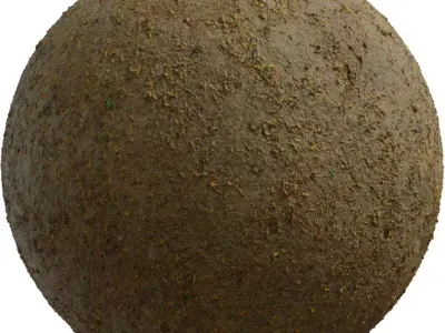 Dusty Park Soil With Leaf Litter PBR Texture Texture