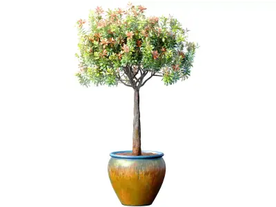 Decorative flowering garden tree shrub in a pot pot vase urn  3D model