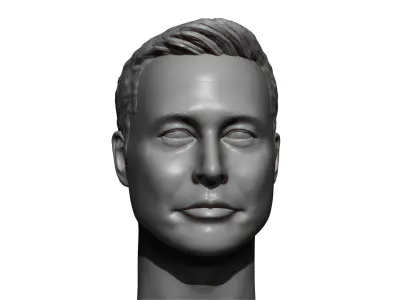 Elon Musk 3D printable portrait sculpture  3D print model