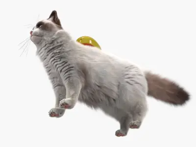  Long Hair Cat Grooming Brush Yellow Fur for Maya 