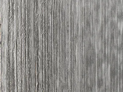 Decorative plaster 55 Texture