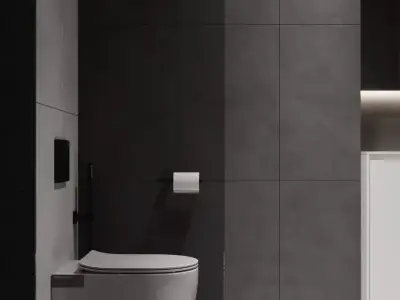 Bathroom design Interior style minimalism 3D model