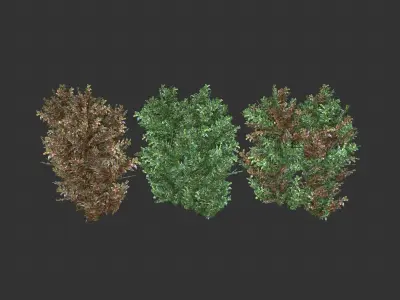 Alternanthera Shrubs Low-poly 3D model
