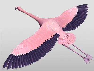  Flamingo Pink - Flight 