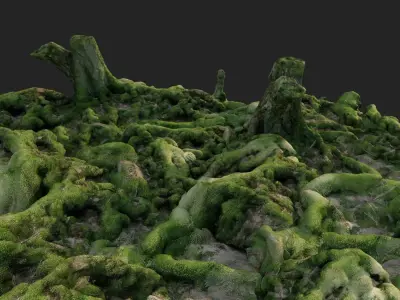 3d scanned nature forest roots 005  3D model