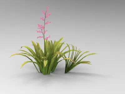 Grass plants Free low-poly 3D model
