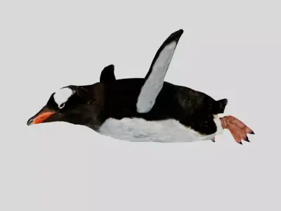 Penguin Low-poly 3D model 5