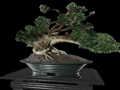 Low-Poly Bonsai Tree Low-poly 3D model