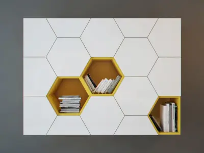 The contemporary  bookcase with hexagonal doors 3D model