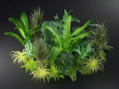  Tropical plants collection Low-poly 3D model
