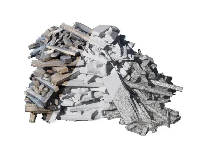 Ultra realistic Pile of Wood Scan  3D model