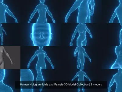 Human Hologram Male and Female 3D Model Collection 3D Model Pack