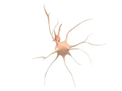 Neurons v1 003 Low-poly 3D model