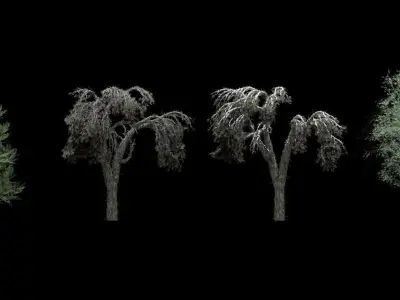 Low Poly Trees Scatter 3D model
