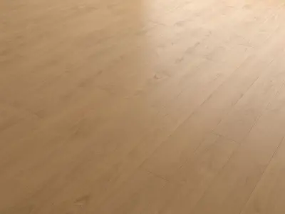 Wood Floor Set 46 Texture