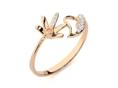 Ring - 98 3D print model