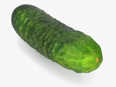  Vegetables Collection 