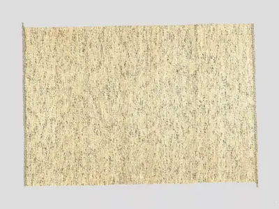 High-Precision Fabric Persian Rug 3D model 01 3D model