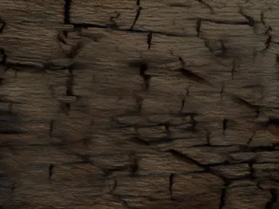 Old Bridge Wooden 3D model