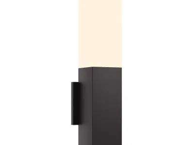 Raine Rectangular Acrylic Outdoor LED Wall Sconce 3D model