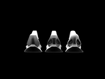 Planes of The Nose 3D model