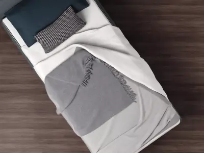 Tonight Single 3D model