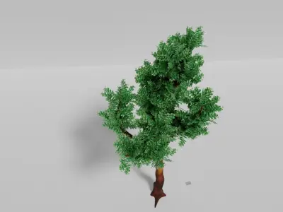 Tree Free eucalyptus PBR Free low-poly 3D model