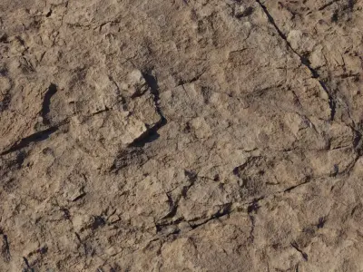 Realistic Dry Brown Rocky Ground Texture