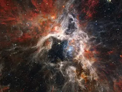 Tarantula Nebula 3D model