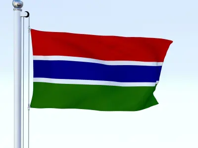 Animated Gambia Flag Low-poly 3D model