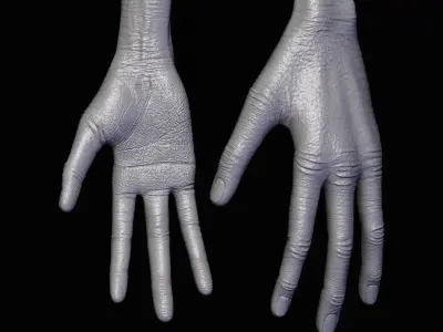 Realistic Alien 2 Sculpt 3D model