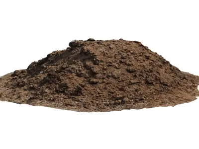 Pile of manure Low-poly 3D model