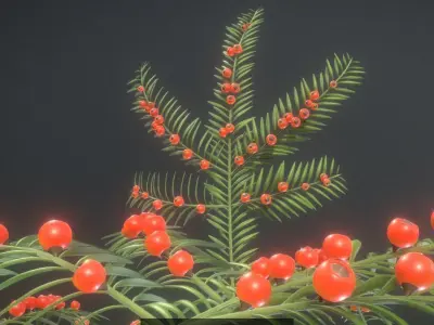 Yew Taxus Baccata Tree and High-Poly Branches 3D Model Pack