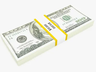 Bank Collection - 100 Dollar Bill Pack 3D model