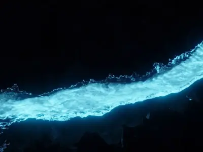 Glowing River Animation 3D model